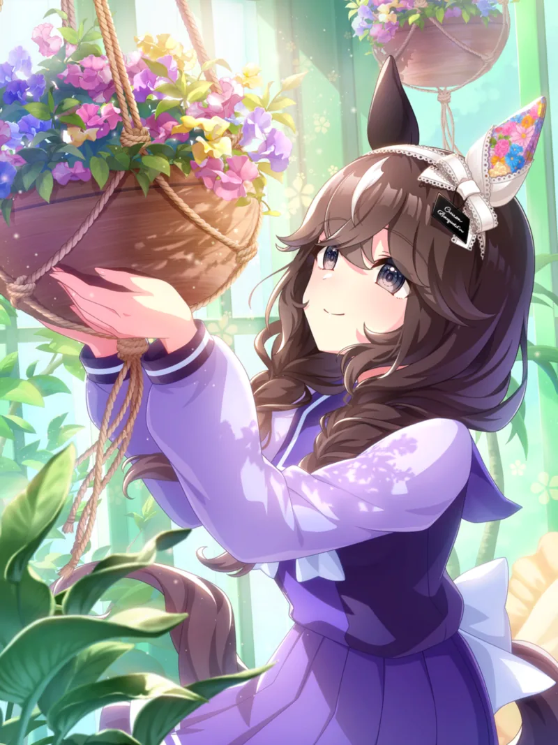 Curren lifting a hanging basket of flowers toward the light