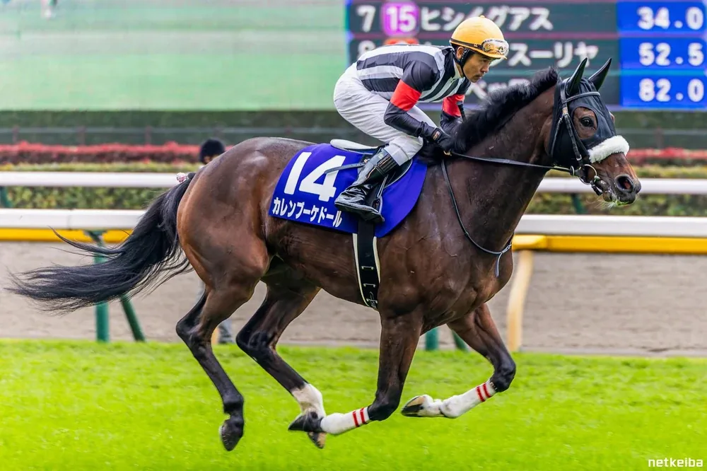 The real Curren Bouquetd'or, a bay mare